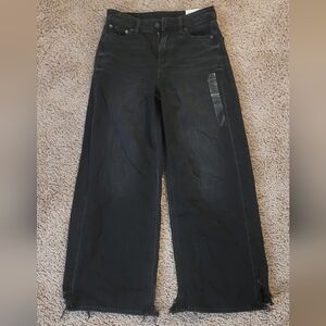 American Eagle Outfitters Black Baggy Jeans